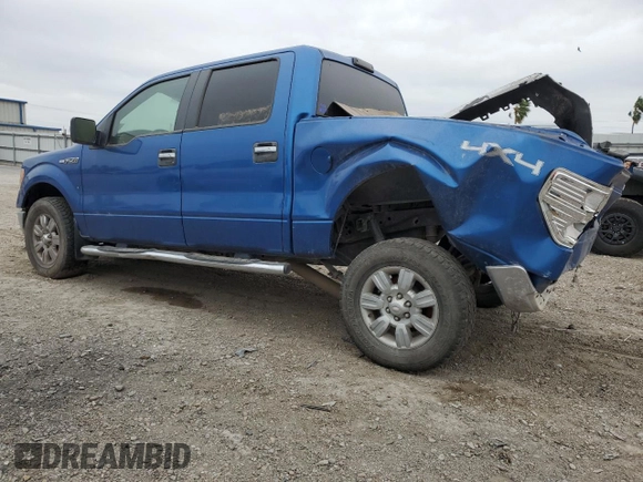 2009 Ford F-150 XL with VIN 1FTRW14839KB36488, listed as a Copart auction lot 44341515 with 243,748 mi miles and Salvage Title. Bid and sale history available at DreamBid. Image 2.