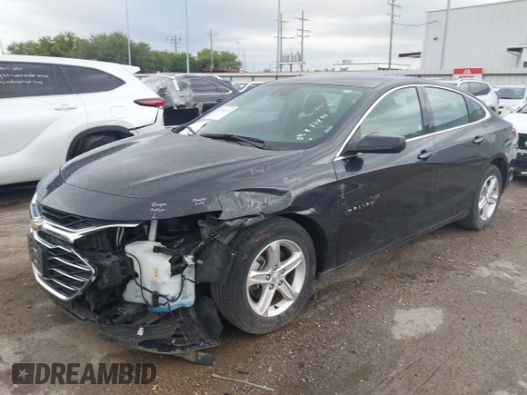 2023 Chevrolet Malibu LT with VIN 1G1ZD5ST7PF208358, listed as a IAAI auction lot 42186515 with 42,654 mi miles and . Bid and sale history available at DreamBid. Image 2.
