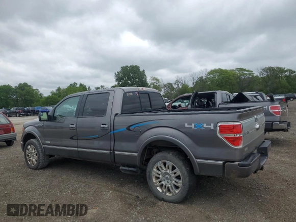 2012 Ford F-150 XL with VIN 1FTFW1ET1CFB55255, listed as a Copart auction lot 58023485 with 204,562 mi miles and Salvage title. Bid and sale history available at DreamBid. Image 2.