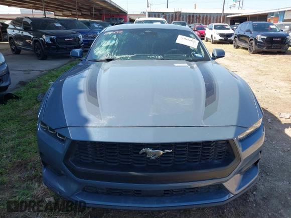 2024 Ford Mustang EcoBoost with VIN 1FA6P8TH3R5109807, listed as a IAAI auction lot 41916951 with Not provided miles and . Bid and sale history available at DreamBid. Image 6.