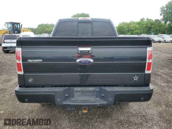 2013 Ford F-150 XL with VIN 1FTFW1ET8DFB03249, listed as a Copart auction lot 57122515 with 113,124 mi miles and Salvage title. Bid and sale history available at DreamBid. Image 6.