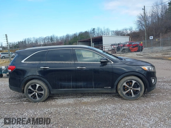 2017 Kia Sorento EX with VIN 5XYPHDA54HG323420, listed as a IAAI auction lot 41649355 with Not Provided miles and . Bid and sale history available at DreamBid. Image 12.