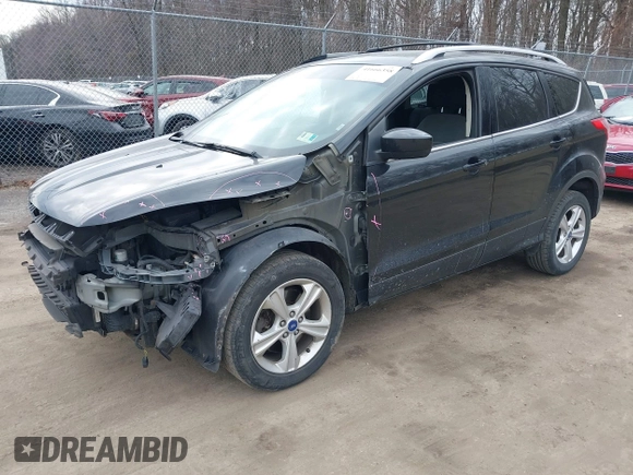 2013 Ford Escape SE with VIN 1FMCU9G95DUA03948, listed as a IAAI auction lot 41666358 with 233,187 mi miles. Bid and sale history available at carsss.com. Image 2.