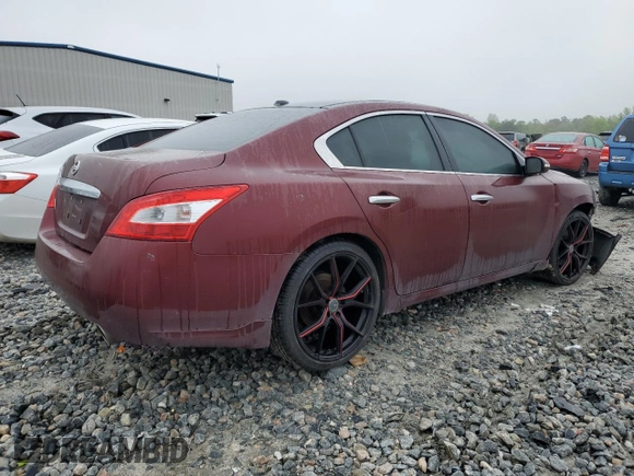 2011 Nissan Maxima SV with VIN 1N4AA5AP0BC801402, listed as a Copart auction lot 51287515 with 191,468 mi miles and Salvage Title. Bid and sale history available at DreamBid. Image 3.