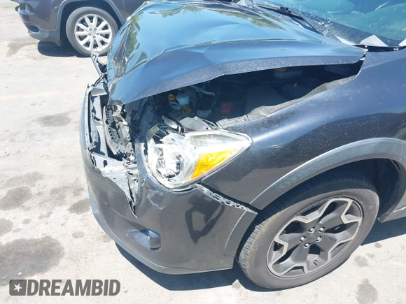 2014 Subaru Crosstrek Premium with VIN JF2GPACC1EH317995, listed as a IAAI auction lot 42588059 with 181,740 mi miles and . Bid and sale history available at DreamBid. Image 6.