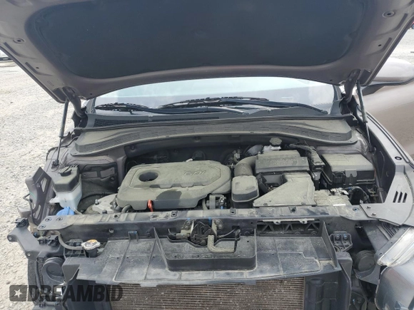 2020 Hyundai Santa Fe SE with VIN 5NMS2CAD2LH229290, listed as a Copart auction lot 49957075 with 97,938 mi miles and Salvage Title. Bid and sale history available at DreamBid. Image 13.