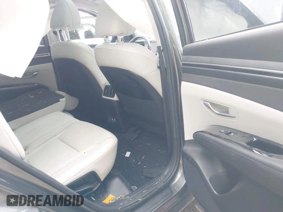 2023 Hyundai Tucson Limited с VIN 5NMJECAE5PH195525, выставлен на аукционе IAAI как лот 42328115 с пробегом 21 778 миль миль и . История ставок и продаж доступна на DreamBid. Изображение 8.