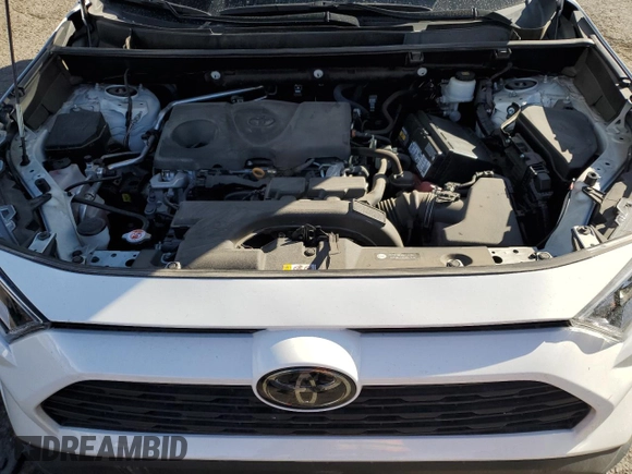2019 Toyota RAV4 XLE with VIN 2T3W1RFV8KC028630, listed as a Copart auction lot 49307165 with 32,043 mi miles and Salvage Title. Bid and sale history available at DreamBid. Image 12.
