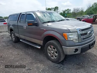 2013 Ford F-150 XL with VIN 1FTEX1EM2DFA30977, listed as a IAAI auction lot 42557679 with 215,606 mi miles and . Bid and sale history available at DreamBid. Image 1.