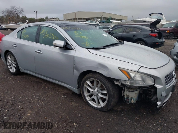 2010 Nissan Maxima 3.5 SV with VIN 1N4AA5APXAC868457, listed as a IAAI auction lot 41959523 with Not Provided miles. Bid and sale history available at carsss.com. Image 6.