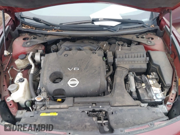 2010 Nissan Maxima SV with VIN 1N4AA5AP2AC809533, listed as a IAAI auction lot 41795703 with 132,961 mi miles and . Bid and sale history available at DreamBid. Image 10.