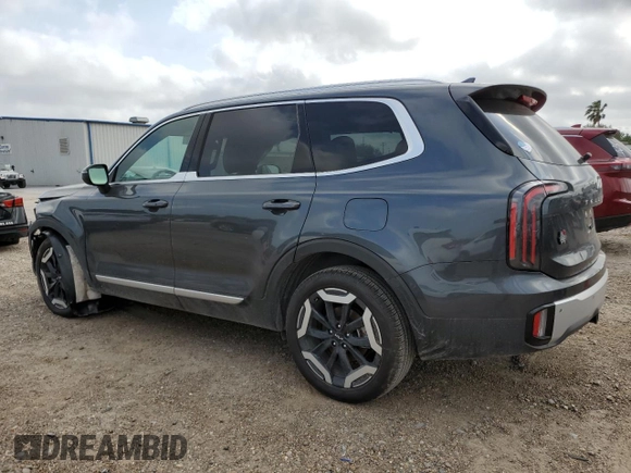 2024 Kia Telluride EX with VIN 5XYP34GC8RG533847, listed as a Copart auction lot 50711135 with 5,548 mi miles and Salvage title. Bid and sale history available at DreamBid. Image 2.