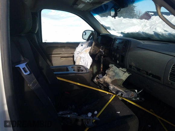 2012 Chevrolet Silverado 1500 Work Truck with VIN 1GCNKPEAXCZ217470, listed as a Copart auction lot 45476725 with Not Provided miles and Salvage Title. Bid and sale history available at DreamBid. Image 10.