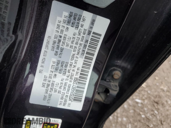 2008 Mazda CX-9 Touring with VIN JM3TB28A980132998, listed as a Copart auction lot 85040104 with 203,688 mi miles and Salvage Title. Bid and sale history available at carsss.com. Image 12.