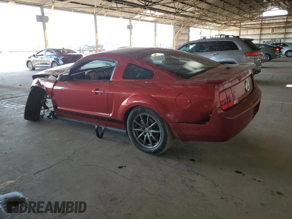 2009 Ford Mustang with VIN 1ZVHT80N695130771, listed as a Copart auction lot 61443035 with 150,245 mi miles and Salvage title. Bid and sale history available at DreamBid. Image 2.