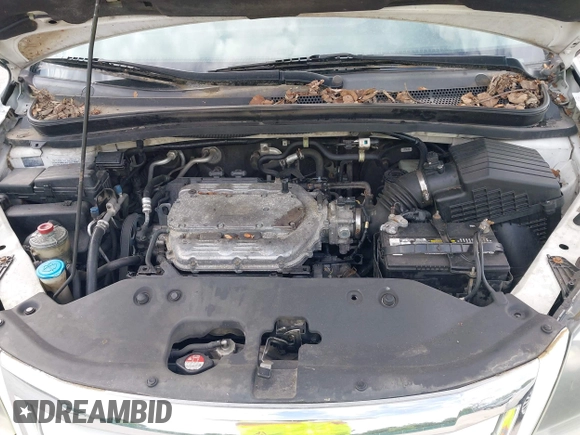 2008 Honda Odyssey EX-L with VIN 5FNRL38788B418126, listed as a IAAI auction lot 42249253 with 241,164 mi miles and . Bid and sale history available at DreamBid. Image 10.