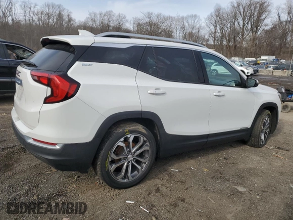 2020 GMC Terrain SLT with VIN 3GKALPEV6LL250007, listed as a Copart auction lot 45718435 with 101,516 mi miles and Salvage title. Bid and sale history available at DreamBid. Image 3.
