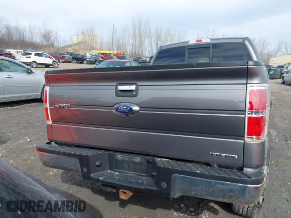 2014 Ford F-150 XL with VIN 1FTFX1EF0EFA99464, listed as a IAAI auction lot 41802971 with 146,091 mi miles. Bid and sale history available at carsss.com. Image 16.