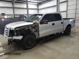 2010 Ford F-150 XL with VIN 1FTFW1EV5AFB52356, listed as a Copart auction lot 48421325 with 295,621 mi miles and Clean Title. Bid and sale history available at carsss.com. Image 1.