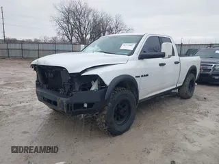 2010 Dodge 1500 SLT with VIN 1D7RV1GT7AS137785, listed as a IAAI auction lot 41519997 with 204,854 mi miles and . Bid and sale history available at DreamBid. Image 18.