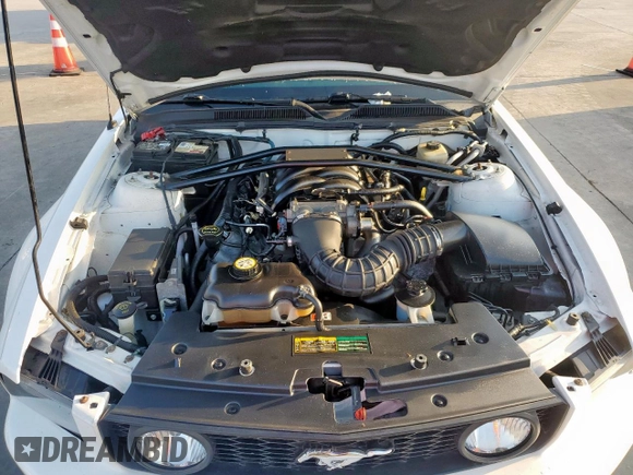 2008 Ford Mustang GT Deluxe with VIN 1ZVHT85H585202545, listed as a Copart auction lot 60884135 with 64,942 mi miles and Salvage title. Bid and sale history available at DreamBid. Image 11.
