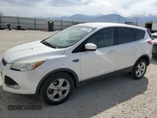 2015 Ford Escape SE with VIN 1FMCU0GX9FUC26779, listed as a Copart auction lot 52772325 with 135,121 mi miles and Salvage Title. Bid and sale history available at DreamBid. Image 1.