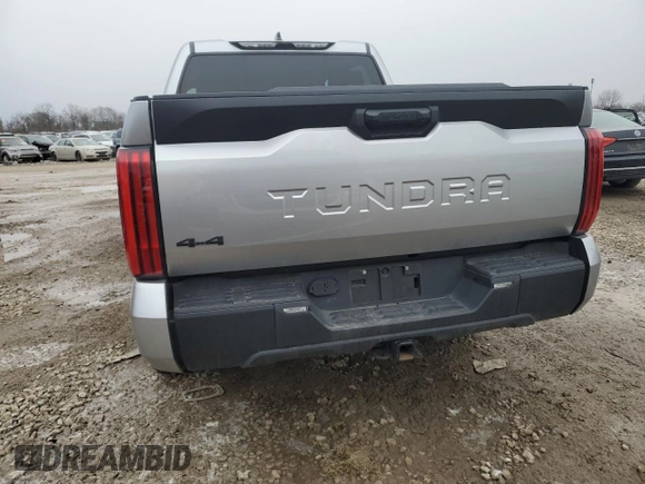 2023 Toyota Tundra SR with VIN 5TFKB5DB2PX079734, listed as a Copart auction lot 41746535 with 22,668 mi miles and Salvage title. Bid and sale history available at DreamBid. Image 6.