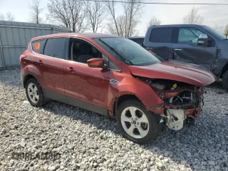 2016 Ford Escape SE with VIN 1FMCU9GX3GUB22858, listed as a Copart auction lot 49776535 with Not Provided miles and Clean Title. Bid and sale history available at DreamBid. Image 4.