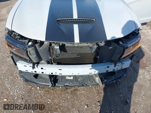 2022 Dodge Charger Scat Pack Widebody with VIN 2C3CDXGJ6NH176650, listed as a IAAI auction lot 41863122 with 34,569 mi miles and . Bid and sale history available at DreamBid. Image 6.