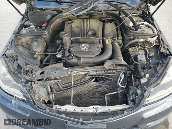 2012 Mercedes-Benz C 250 with VIN WDDGJ4HB4CF896481, listed as a Copart auction lot 55032045 with 170,327 mi miles and Salvage title. Bid and sale history available at DreamBid. Image 11.