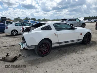 2010 Ford Mustang V6 with VIN 1ZVBP8AN1A5158085, listed as a Copart auction lot 61070745 with Not provided miles and Salvage title. Bid and sale history available at DreamBid. Image 3.
