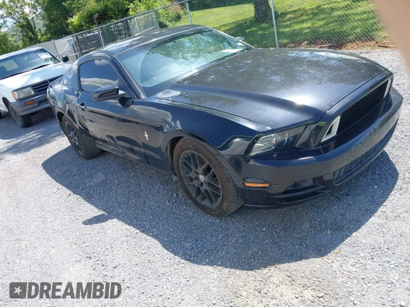 2013 Ford Mustang V6 with VIN 1ZVBP8AM9D5220487, listed as a IAAI auction lot 42189571 with 132,388 mi miles and . Bid and sale history available at DreamBid. Image 1.