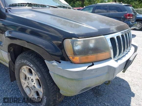 2000 Jeep Grand Cherokee Laredo with VIN 1J4GW48N7YC357376, listed as a IAAI auction lot 42503429 with 211,154 mi miles and . Bid and sale history available at DreamBid. Image 12.