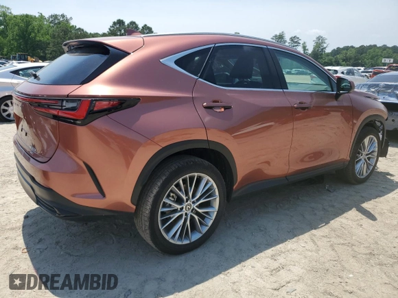 2025 Lexus NX 350h Premium with VIN 2T2GKCEZ3SC040711, listed as a Copart auction lot 56729615 with 5,997 mi miles and Salvage title. Bid and sale history available at DreamBid. Image 3.
