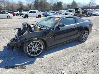 2013 Ford Mustang GT with VIN 1ZVBP8CF6D5248746, listed as a Copart auction lot 49592435 with 0 mi miles and Salvage Title. Bid and sale history available at carsss.com. Image 1.