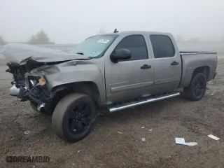 2007 Chevrolet Silverado 1500 LS with VIN 3GCEC13C77G548060, listed as a Copart auction lot 85428924 with 230,104 mi miles and Salvage Title. Bid and sale history available at carsss.com. Image 1.