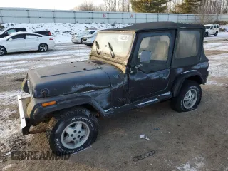 1995 Jeep Wrangler with VIN 1J4FY29S3SP289771, listed as a Copart auction lot 41522295 with 104,270 mi miles and Clean Title. Bid and sale history available at carsss.com. Image 1.