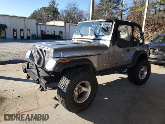 1994 Jeep Wrangler with VIN 1J4FY29S4RP471828, listed as a Copart auction lot 87893385 with 210,743 mi miles and Salvage Title. Bid and sale history available at carsss.com. Image 1.