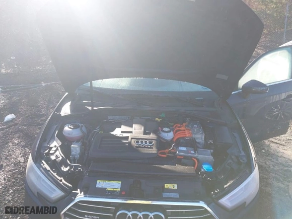 2018 Audi A3 Sportback e-tron Premium Plus with VIN WAUTPBFF0JA062975, listed as a IAAI auction lot 41482471 with 115,796 mi miles. Bid and sale history available at carsss.com. Image 10.