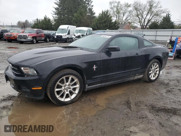 2010 Ford Mustang V6 with VIN 1ZVBP8AN3A5112855, listed as a Copart auction lot 49824275 with 161,778 mi miles and Salvage Title. Bid and sale history available at DreamBid. Image 1.