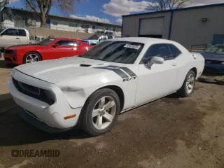 2013 Dodge Challenger R/T with VIN 2C3CDYBT3DH535790, listed as a Copart auction lot 48529355 with 250,497 mi miles and Salvage Title. Bid and sale history available at carsss.com. Image 1.