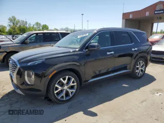 2020 Hyundai Palisade SEL with VIN KM8R4DHE2LU055531, listed as a Copart auction lot 56288785 with 113,211 mi miles and Clean title. Bid and sale history available at DreamBid. Image 1.