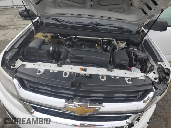2015 Chevrolet Colorado 4WD WT with VIN 1GCHTAEA7F1158887, listed as a Copart auction lot 85815324 with 123,161 mi miles and Salvage Title. Bid and sale history available at DreamBid. Image 12.