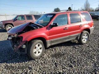 2005 Ford Escape XLT with VIN 1FMYU03165KB93273, listed as a Copart auction lot 43254685 with 252,446 mi miles and Salvage Title. Bid and sale history available at carsss.com. Image 1.