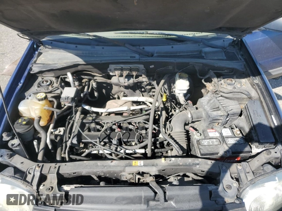 2007 Ford Escape XLT with VIN 1FMYU03Z67KB07923, listed as a Copart auction lot 50120885 with 187,903 mi miles and Salvage Title. Bid and sale history available at carsss.com. Image 12.