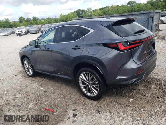 2022 Lexus NX 350h Luxury with VIN JTJHKCEZ9N2000478, listed as a Copart auction lot 53864374 with 27,986 mi miles and Salvage Title. Bid and sale history available at DreamBid. Image 2.