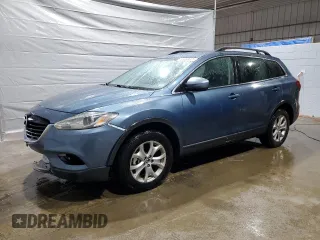 2014 Mazda CX-9 Touring with VIN JM3TB2CA2E0436726, listed as a Copart auction lot 49463005 with 140,539 mi miles and Salvage Title. Bid and sale history available at carsss.com. Image 1.