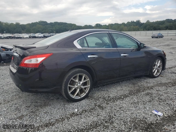 2010 Nissan Maxima 3.5 SV w/Sport Pkg with VIN 1N4AA5AP2AC874477, listed as a Copart auction lot 72167404 with 99,146 mi miles and Salvage Title. Bid and sale history available at carsss.com. Image 3.