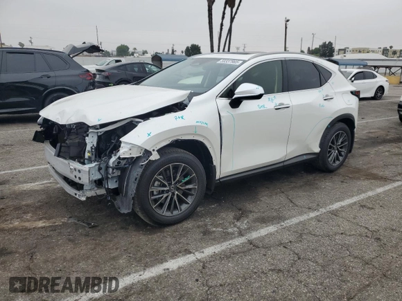 2025 Lexus NX 250 Premium with VIN JTJGDCAZ6S2025006, listed as a Copart auction lot 59337965 with 1,219 mi miles and Salvage title. Bid and sale history available at DreamBid. Image 1.