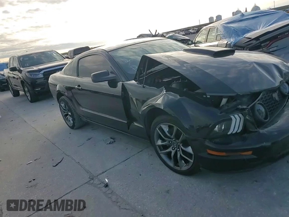2008 Ford Mustang GT Deluxe with VIN 1ZVHT82H385152393, listed as a Copart auction lot 58991235 with 134,298 mi miles and Salvage title. Bid and sale history available at DreamBid. Image 13.